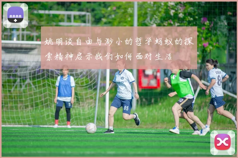 姚明谈自由与渺小的哲学蚂蚁的探索精神启示我们如何面对生活